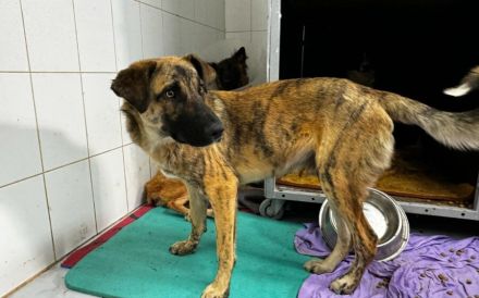 Rocco blickt hoffnungsvoll in seine Zukunft!