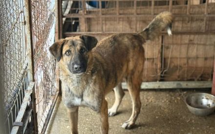 Rocco blickt hoffnungsvoll in seine Zukunft!