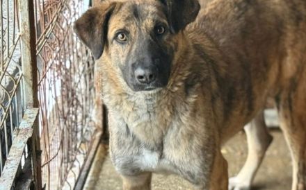 Rocco blickt hoffnungsvoll in seine Zukunft!