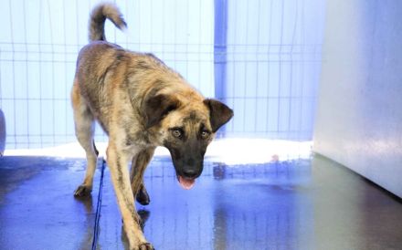 Rocco blickt hoffnungsvoll in seine Zukunft!