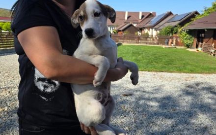 Wer schenkt Schlumi ein liebevolles Für-Immer-Zuhause?