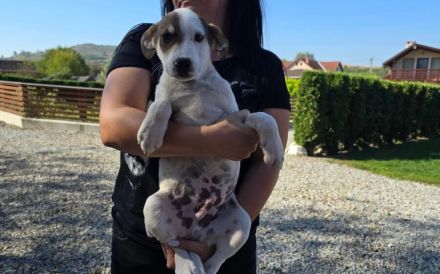 Wer schenkt Schlumi ein liebevolles Für-Immer-Zuhause?