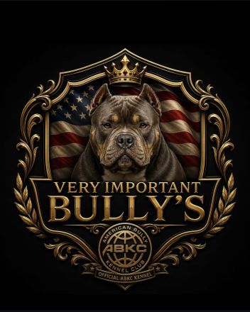 Very important Bully's ( Pocket Bullys )