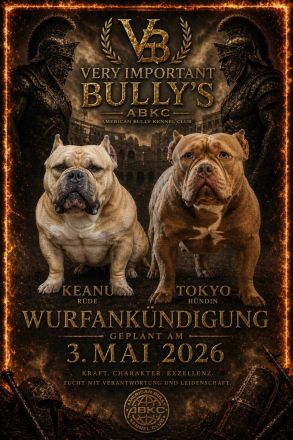 Very important Bully's ( Pocket Bullys )