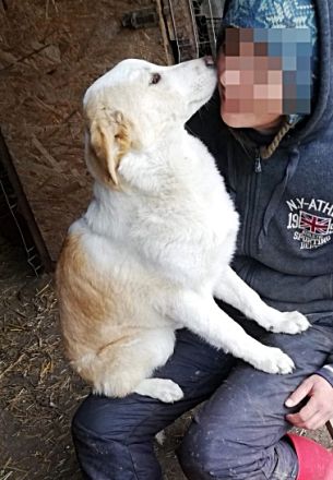 Tilly,  suchen ein Kuschelkörbchen