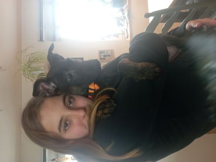 Wunderschönes X Herder Mädchen sucht noch eine liebe Familie