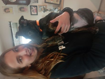 Wunderschönes X Herder Mädchen sucht noch eine liebe Familie