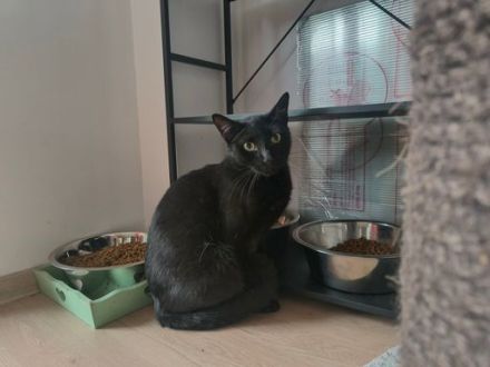 Der charmante Toby ist bereit für sein neues Zuhause!