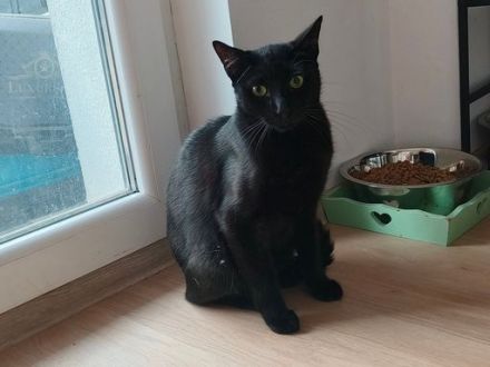 Der charmante Toby ist bereit für sein neues Zuhause!