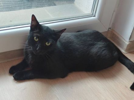 Der charmante Toby ist bereit für sein neues Zuhause!