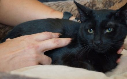 Der charmante Toby ist bereit für sein neues Zuhause!