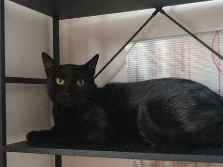 Der charmante Toby ist bereit für sein neues Zuhause!