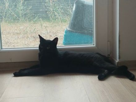 Der charmante Toby ist bereit für sein neues Zuhause!