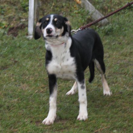 Luna - wo wartet meine Familie?