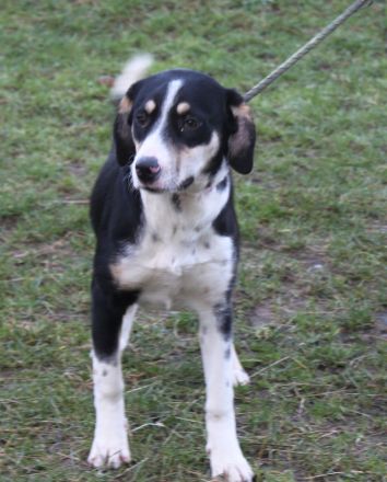 Luna - wo wartet meine Familie?