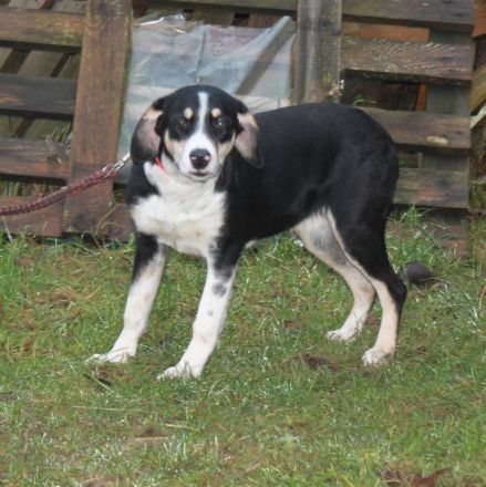 Luna - wo wartet meine Familie?