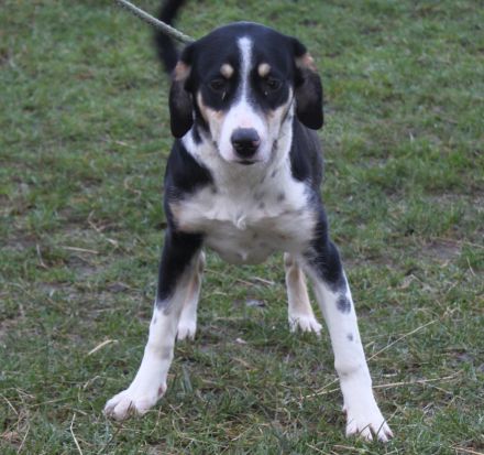 Luna - wo wartet meine Familie?