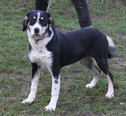 Luna - wo wartet meine Familie?