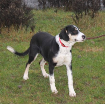 Luna - wo wartet meine Familie?