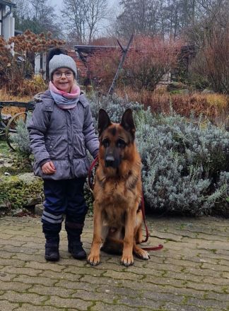 Zwinger von Lacroz.de