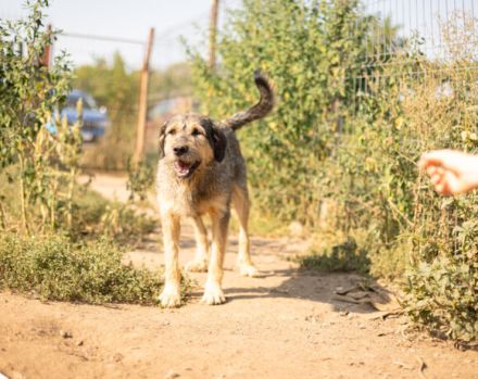 Hallo, ich bin Eve und suche ein Zuhause.