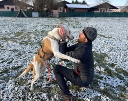 Wer schenkt dem schönen DJ sein Herz und ein Zuhause in Österreich oder der Schweiz?