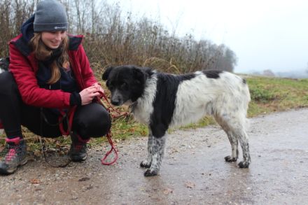 Sam Carter wartet auf dich in 84152 Mengkofen