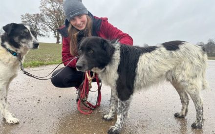 Sam Carter wartet auf dich in 84152 Mengkofen