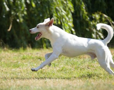 Schlägt Dein Herz für Froggy?