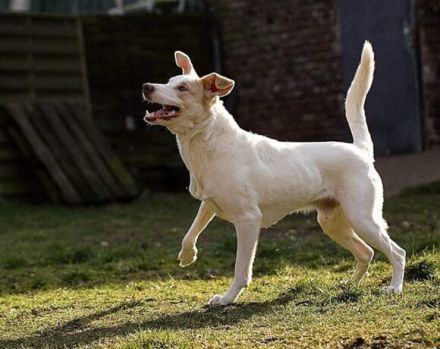 Schlägt Dein Herz für Froggy?