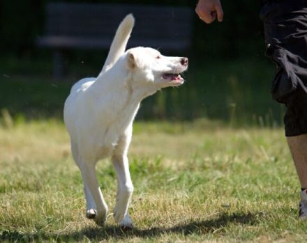 Schlägt Dein Herz für Froggy?