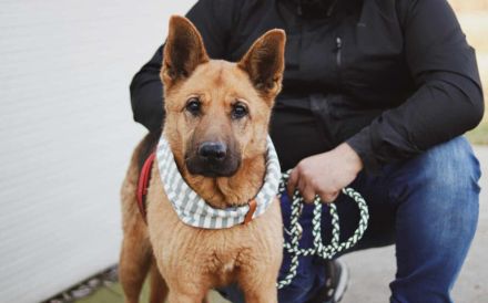 Ariana möchte deine treue Begleiterin werden!