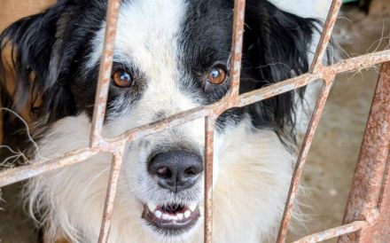 Charismatischer Elton sucht seine Familie