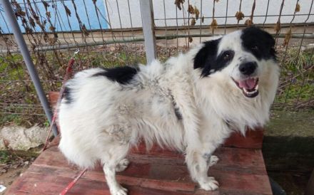 Charismatischer Elton sucht seine Familie