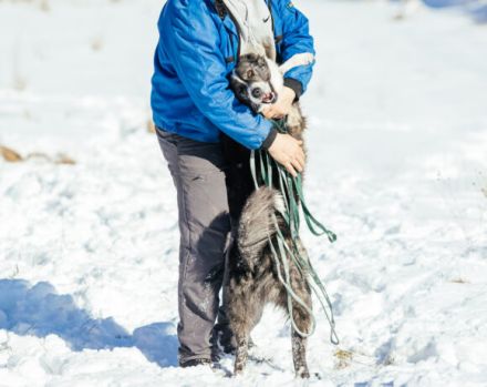 Schenkst du dem fröhlichen Sascha ein Zuhause?