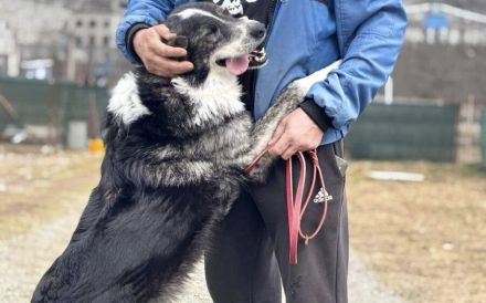 Schenkst du dem fröhlichen Sascha ein Zuhause?