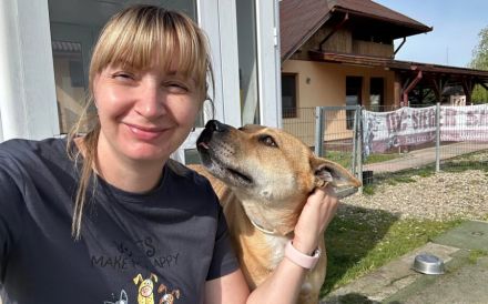 Spike sehnt sich so nach einem liebevollen, artgerechten Zuhause außerhalb Deutschlands