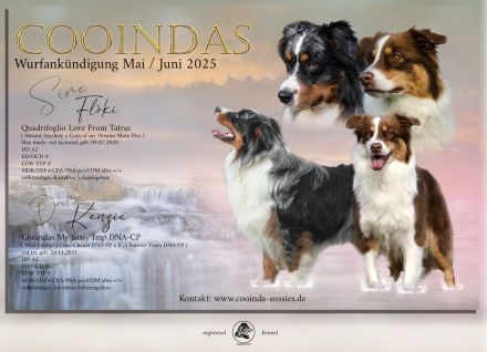 Wurfplanung Mai / Juni 2025