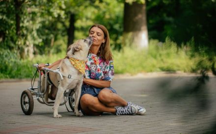 Ein besonderes Zuhause für tapferen Junghund Rolli gesucht