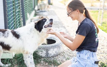 Tolle Naomi sucht ein Zuhause. Adopt don´t shop.