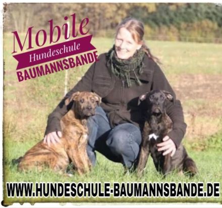 Mantrailing - Hundeschule