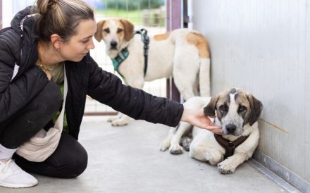Wer schenkt dem kleinen Luke ein Zuhause?