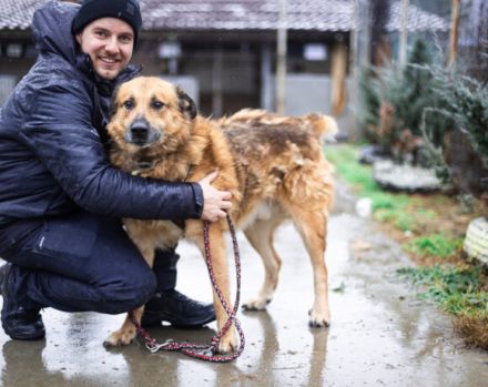 Hallo, ich bin Donny. Adoptierst du mich?