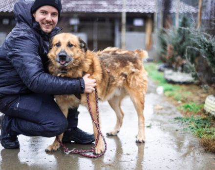 Hallo, ich bin Donny. Adoptierst du mich?