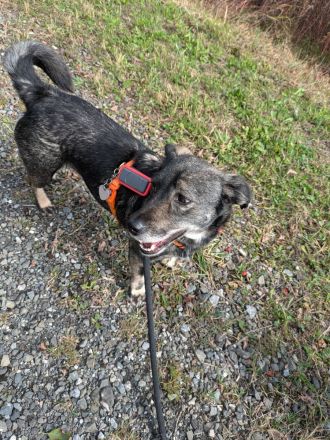 liebevolles Zuhause gesucht