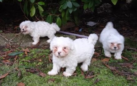 Stillhalten is nich...