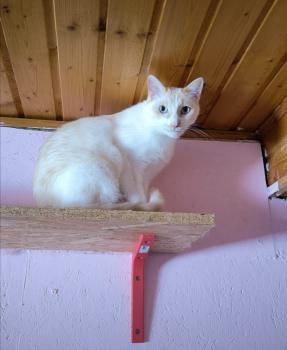 Nacho und Snowi