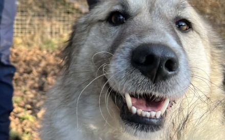 Shine möchte dein Leben erhellen