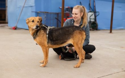 Hallo, ich bin Cecile! Adopt. Don´t shop!