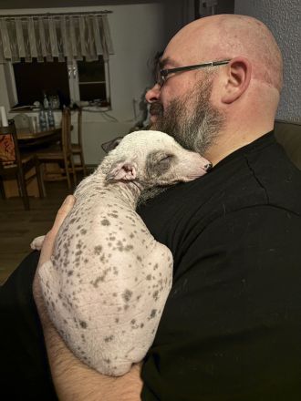 Nackthundefreunde aufgepasst!